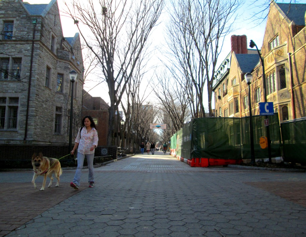 And This Is Penn 124