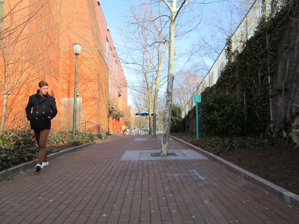 And This Is Penn 207