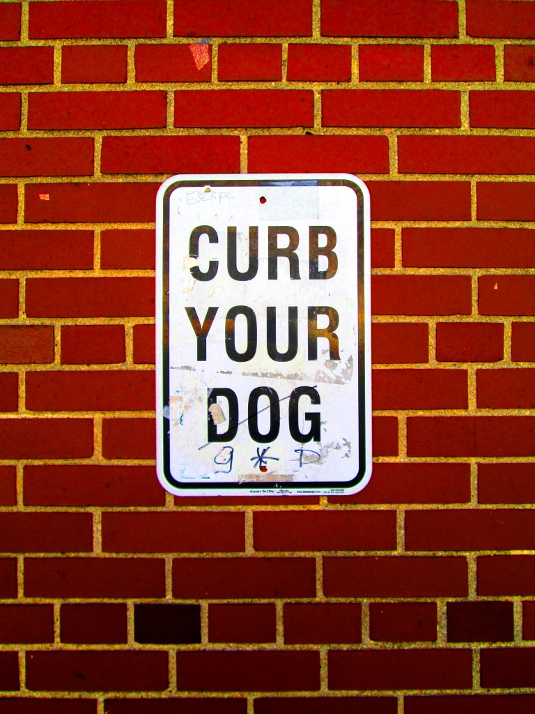 Sign of The Times 170