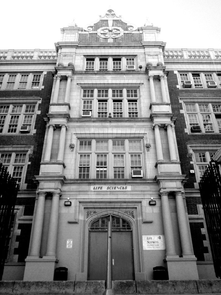 The Space Between 072