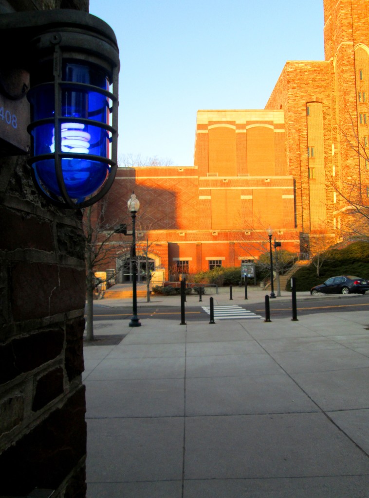 This Is Princeton University 016