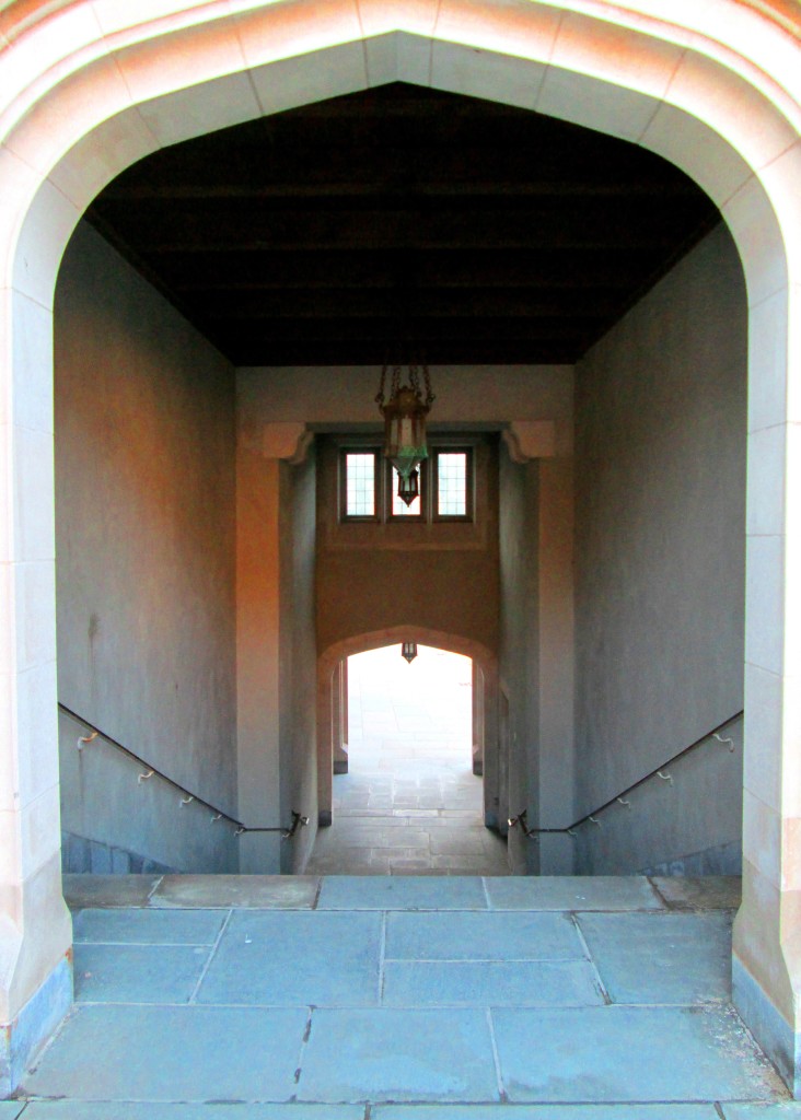 This Is Princeton University 040