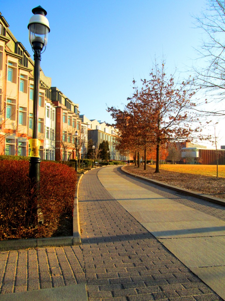 This Is Princeton University 069