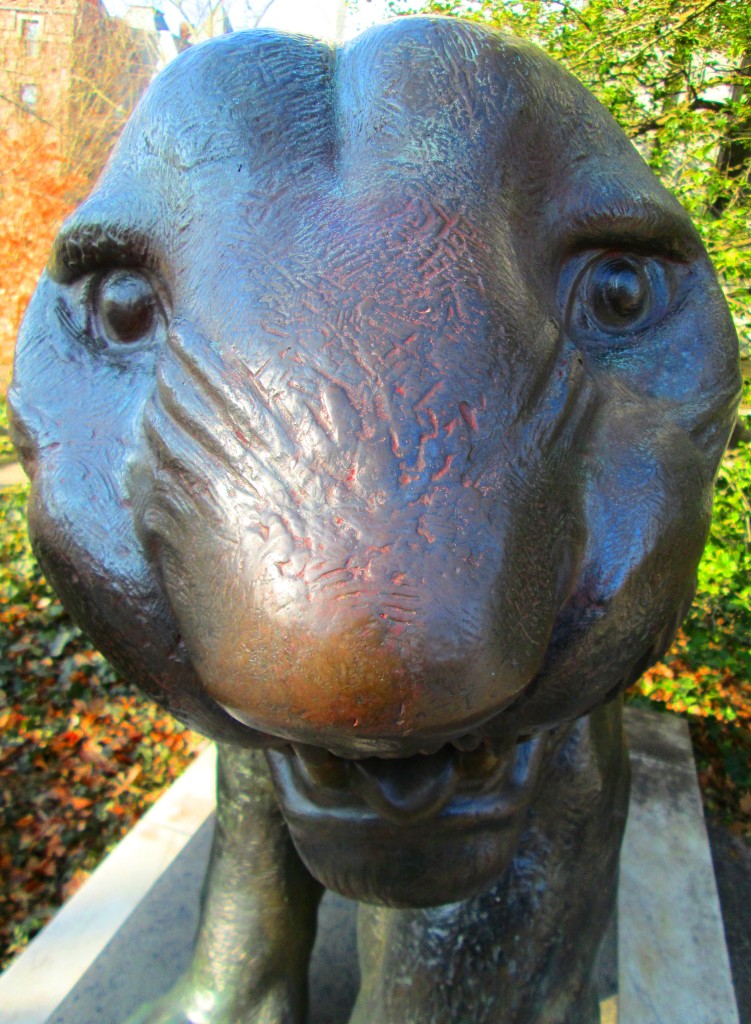 This Is Princeton University 189