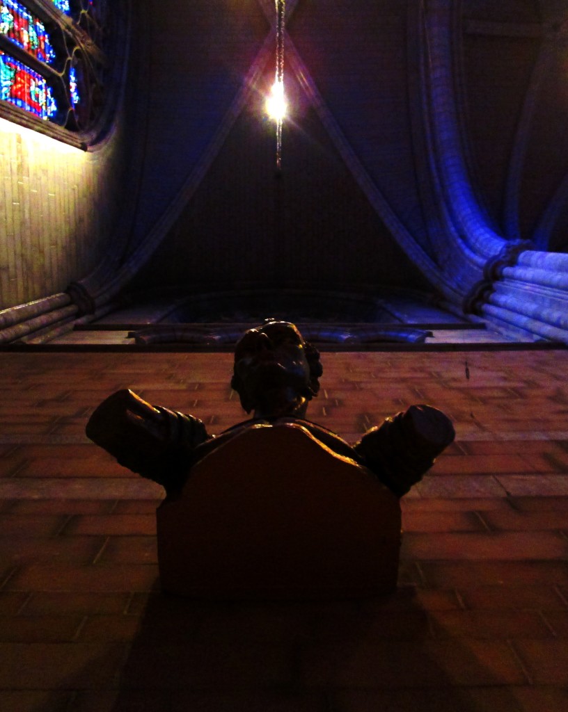 This Is Princeton University 214