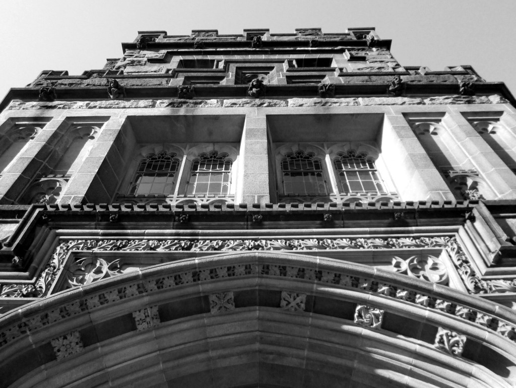 This Is Princeton University 251