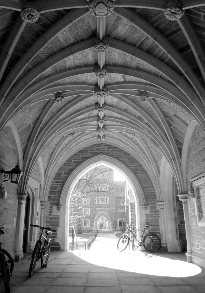 This Is Princeton University 278