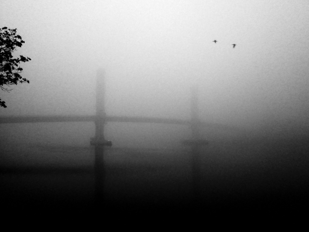 On The Waterfront 17