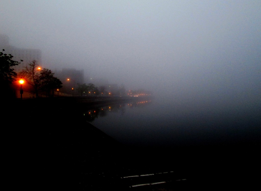 On The Waterfront 5