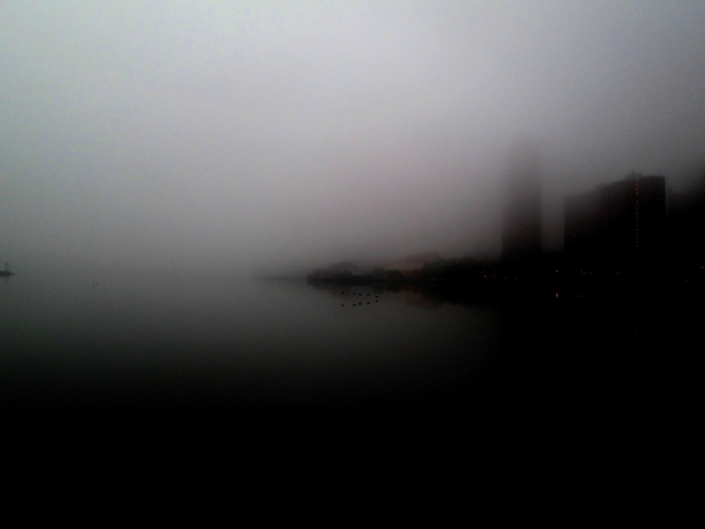 On The Waterfront 82