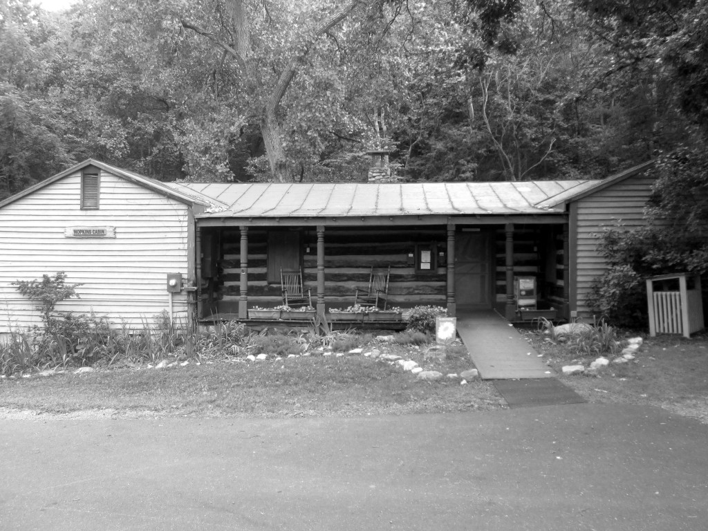 Old Dominion 309