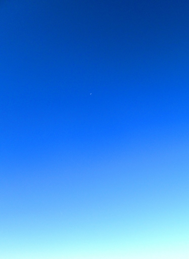 The Gap 055